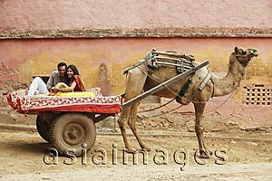 Asia Images Group - couple on camel cart