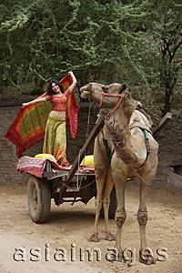 Asia Images Group - young woman in sari, posing on camel cart