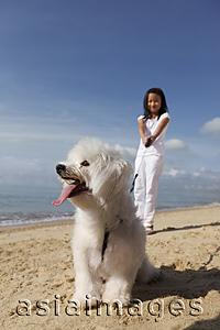 Asia Images Group - Young girl walking dog.