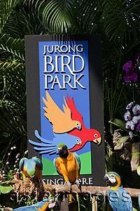 Asia Images Group - Singapore,Jurong Bird Park