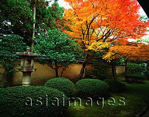 Asia Images Group - Japan, Kyoto, Kohrin-in, Daitoku-ji sub-temple, garden with maple