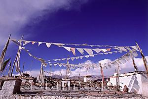 Asia Images Group - India, Ladakh, Prayer flags.
