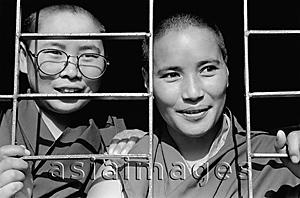 Asia Images Group - India, near Dharamsala, Dolma Ling Nunnery, Portrait of Tibetan nuns.
