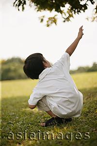 Asia Images Group - Young boy crouching on lawn, pointing up