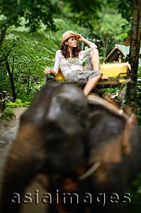 Asia Images Group - Young woman sitting on top of elephant, Phuket, Thailand