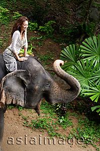 Asia Images Group - Young woman sitting on top of elephant, smiling, Phuket, Thailand