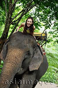 Asia Images Group - Young woman sitting on top of elephant, Phuket, Thailand
