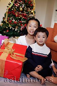 Asia Images Group - Children sitting by Christmas tree, holding gift, portrait