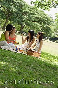 Asia Images Group - Young women having a picnic