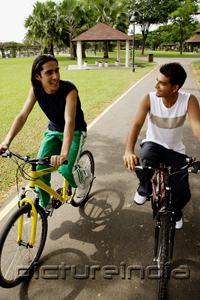 PictureIndia - Two young men cycling side by side in park
