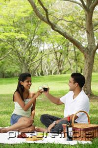 PictureIndia - Couple in park, having a picnic, toasting with wine glasses