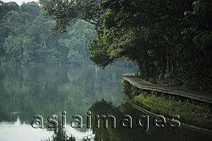 Asia Images Group - Wooden path around the edge of lake surrounded by trees reflected in the water