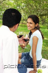 PictureIndia - Couple having a picnic, toasting with wine glasses